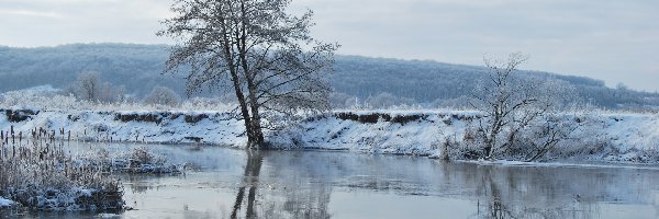 Rzeka, Drzewa, Zima