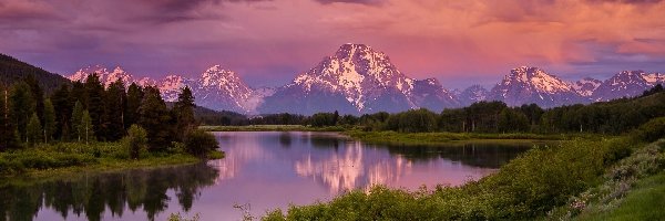 Drzewa, Park Narodowy Grand Teton, Rzeka Snake River, Stan Wyoming, Stany Zjednoczone, Góra Mount Moran, Góry