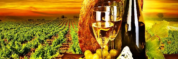 Ser, Winnica, Winogrona, Wino