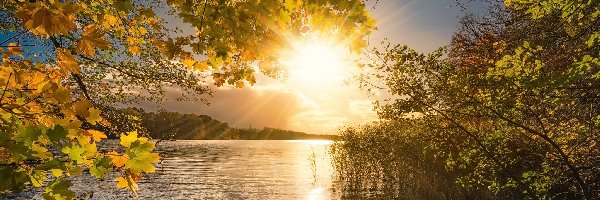 Jezioro, Drzewa, Łódka, Promienie słońca