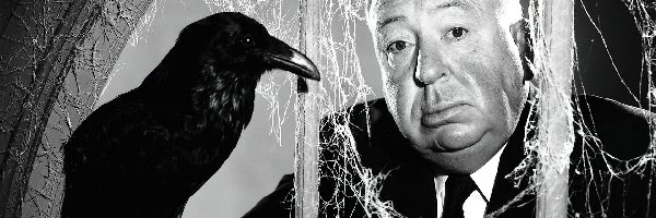 Kruk, Alfred Hitchcock, Reżyser