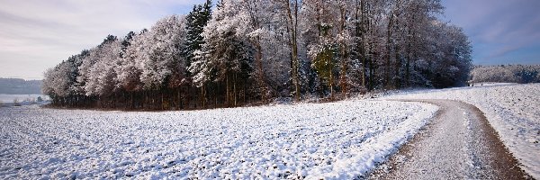 Ośnieżone, Droga, Pola, Lasu, Do