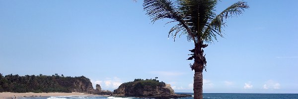 Morze, Palma, Plaża