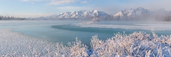 Zima, Góry, Jezioro, Rośliny, Oszronione