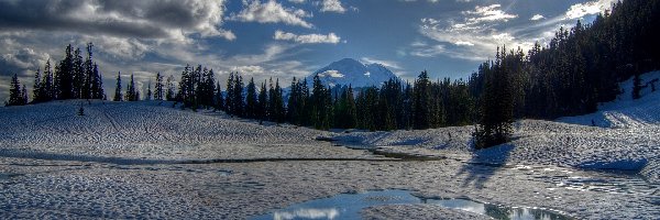 Promienie Słońca, Park Narodowy Mount Rainier, Zima, Stan Waszyngton, Stany Zjednoczone, Las, Jezioro Tipsoo