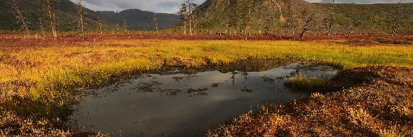 Jack London Lake, Jezioro, Drzewa, Góry Kołymskie, Jesień, Rosja, Magadan, Trawa, Kołyma