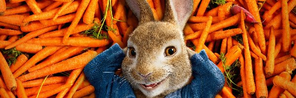 Film, Peter Rabbit, Piotruś Królik, Królik, Marchewki