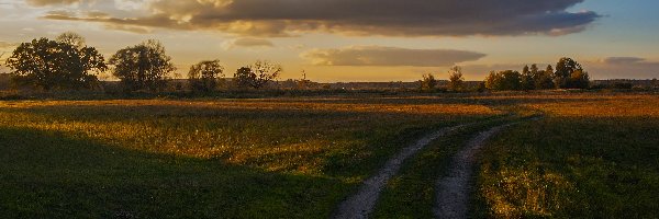 do chmur, o zachodzie., przez łąki, Droga polna