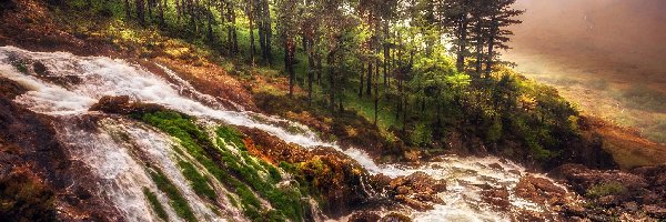 Kamienie, Drzewa, Skały, Rzeka, Park Narodowy Snowdonia, Walia