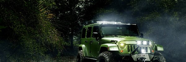 Poranek, Promienie Słońca, Jeep Las