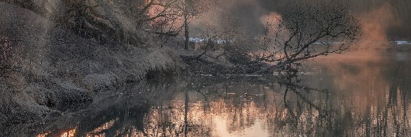 Rosja, Promienie słońca, Mgła, Drzewa, Rzeka Istra, Obwód moskiewski, Odbicie