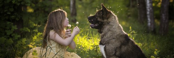 Dziewczynka, Akita amerykańska, Pies, Las