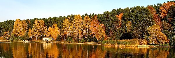Jezioro, Drzewa, Jesień, Niebo, Liście