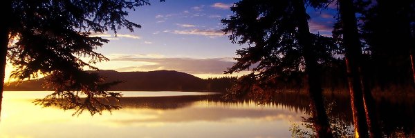 Kanada, Great, Jezioro, Lake, Bear