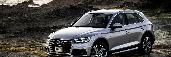 SUV, 2017, Florett Silver, Audi Q5 3.0 TDI Quattro