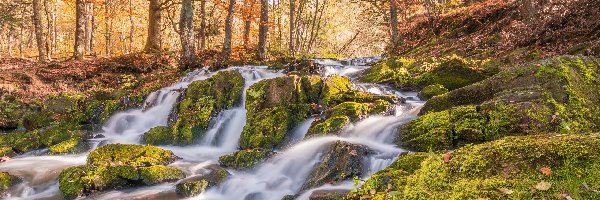 Jesień, Wodospad Selkefall, Góry Harz, Miasto Harzgerode, Niemcy, Kamienie, Omszałe, Rzeka Selke, Las