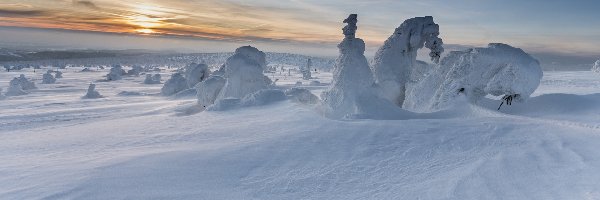 Zaśnieżone, Zima, Drzewa, Wschód słońca