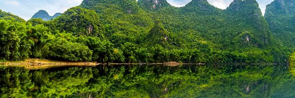 Las, Rzeka Gui Jiang, Góry, Odbicie, Powiat Yangshuo, Chiny
