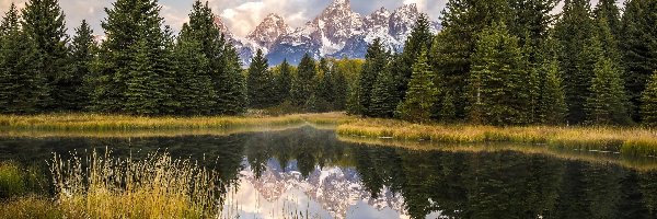 Rzeka Snake River, Stan Wyoming, Odbicie, Trawy, Park Narodowy Grand Teton, Góry Teton Range, Drzewa, Stany Zjednoczone