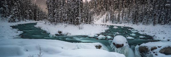 Góry, Skały, Rzeka Sunwapta, Wodospad Sunwapta Falls, Zima, Kanada, Prowincja Alberta, Park Narodowy Jasper, Drzewa