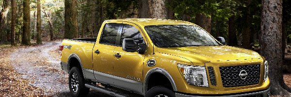 Nissan, Titan, Samochód, Droga, Las