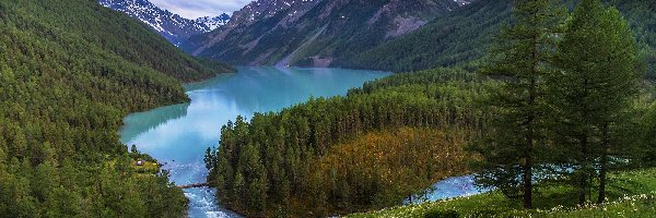 Rosja, Jezioro Lake Kucherla, Chmury, Roślinność, Republika Ałtaju, Lasy, Drzewa, Góry