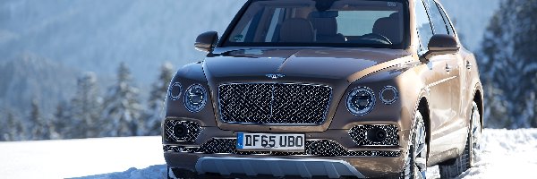Śnieg, Bentley Bentayga