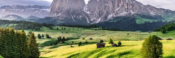 Drzewa, Włochy, Płaskowyż Seiser Alm, Dolomity, Góry Sassolungo, Chmury, Łąki, Dolina Val Gardena, Domy