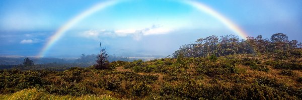 Hawaje, Park Narodowy Haleakalā, Wyspa Maui, Łąka, Tęcza