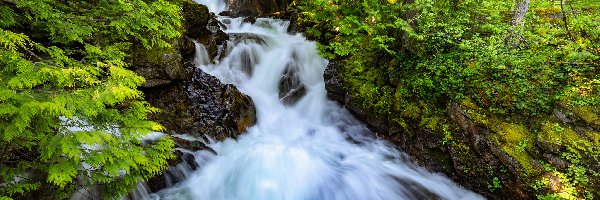 Stany Zjednoczone, Las, Drzewa, Skały, Wodospad Deception Falls, Stan Waszyngton, Miejscowość Skykomish