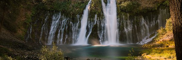 Skała, Drzewa, Stany Zjednoczone, Stan Kalifornia, Rzeka, Park McArthur-Burney Falls, Hrabstwo Shasta, Wodospad Burney Falls