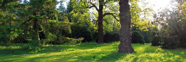 Promienie Słońca, Park