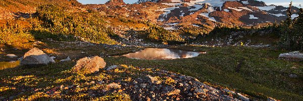 Kamienie, Góry Kaskadowe, Startowulkan Mount Rainier, Drzewa, Stan Waszyngton, Stany Zjednoczone