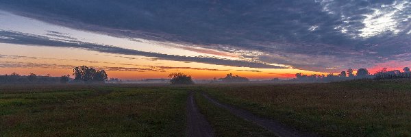 Drzewa, Wschód słońca, Ląki, Chmury, Poranek, Mgła, Drogi