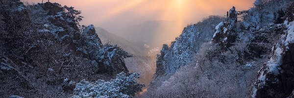 Drzewa, Góry, Korea Południowa, Jeolla Północna, Mgła, Przebijające światło, Park prowincjonalny Daedunsan, Zima