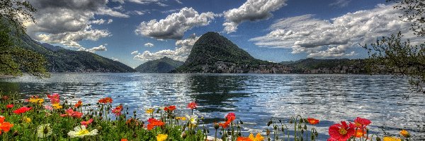 Szwajcarskie, Jezioro, Miasteczko, Maki, Chmury