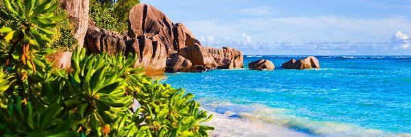 Skały, Plaża Anse Source dArgent, Morze, Roślinność, Wyspa La Digue, Seszele