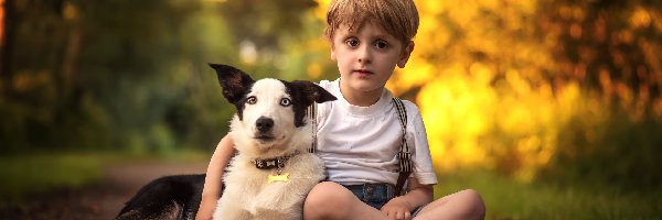 Droga, Border collie, Liście, Chłopiec