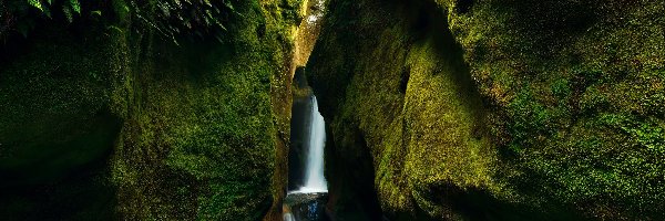 Australia, Upper Chasm Falls, Mech, Wodospad, Skały, Tasmania, Roślinność