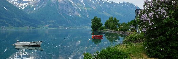 Łodzie, Góry, Jezioro Oppstrynsvatnet, Drzewa, Hjelle, Norwegia