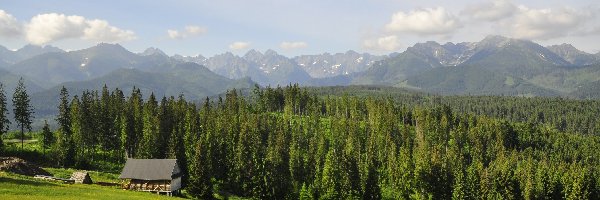 Tatry, Zakopane, Góry, Polska