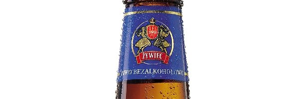 Piwo Żywiec, Piwo