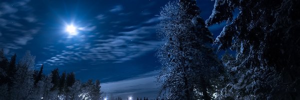 Zima, Laponia, Noc Drzewa, Most, Osada Gällivare, Droga, Rzeka, Szwecja