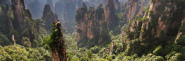 Zhangjiajie National Forest Park, Chiny, Hunan, Skały, Las