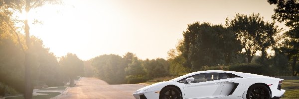 Lamborghini Aventador, Białe