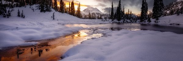 Park Narodowy Mount Rainier, Śnieg, Stany Zjednoczone, Zachód słońca, Góry, Stratowulkan Mount Rainier, Drzewa, Zima, Jezioro Tipsoo Lake, Stan Waszyngton