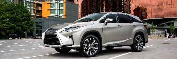 350L, Lexus RX, Samochód