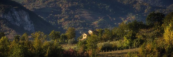 Drzewa, Las, Włochy, Region Abruzja, Gmina Penne, Roślinność, Budynki, Góry Alpy, Dolina