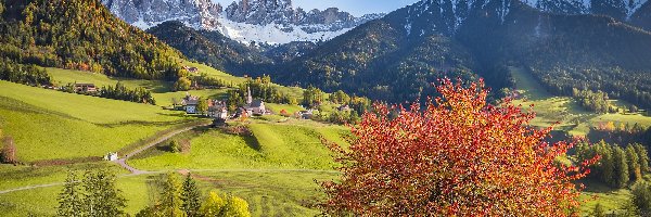Domy, Dolina Val di Funes, Góry Dolomity, Santa Maddalena, Włochy, Drzewa, Wzgórza