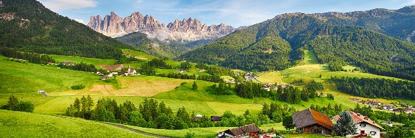 Włochy, Dolina Val di Funes, Wieś Santa Maddalena, Drzewa, Góry Dolomity